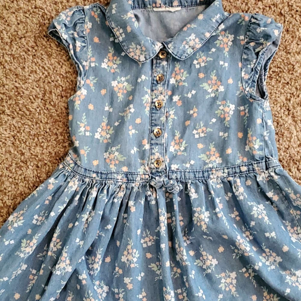 Light Chambray Floral Dress